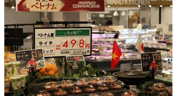Quan hệ thương mại Việt Nam - Hoa Kỳ: Cơ hội và thách thức trong bối cảnh mới